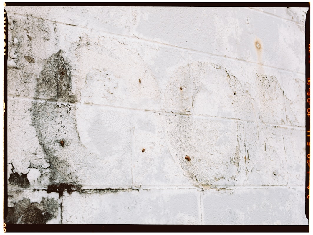 Water Extraction service in Cary, NC